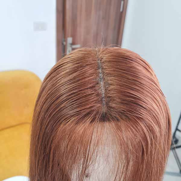 Straight Hair Wig_ Brown Color 24 inch and 5x5 Closure Middle Part