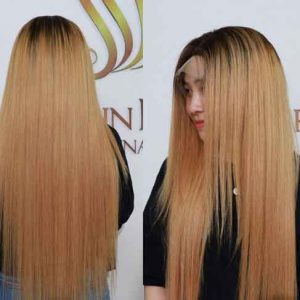 100% Human Hair Wig_cuticle aligned virgin hair_Bone Straight Wig